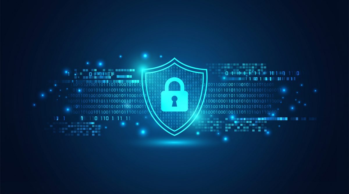 神猫加速器隐私安全保护